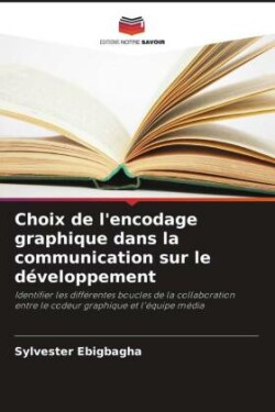 Choix de l'encodage graphique dans la communication sur le développement