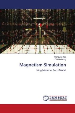 Magnetism Simulation