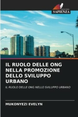 Ruolo Delle Ong Nella Promozione Dello Sviluppo Urbano