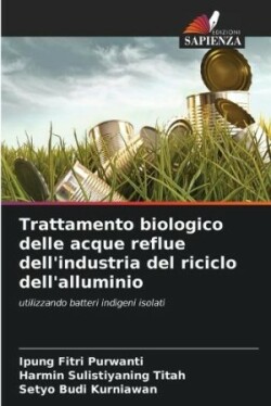 Trattamento biologico delle acque reflue dell'industria del riciclo dell'alluminio