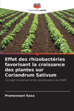 Effet des rhizobactéries favorisant la croissance des plantes sur Coriandrum Sativum