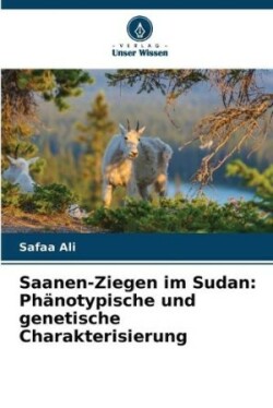 Saanen-Ziegen im Sudan