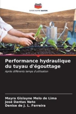 Performance hydraulique du tuyau d'égouttage