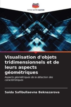 Visualisation d'objets tridimensionnels et de leurs aspects géométriques