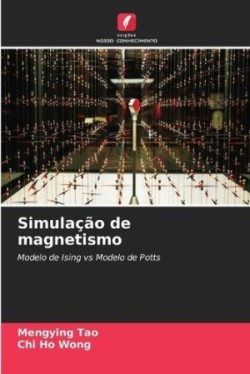 Simulação de magnetismo