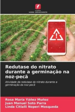 Redutase do nitrato durante a germinação na noz-pecã