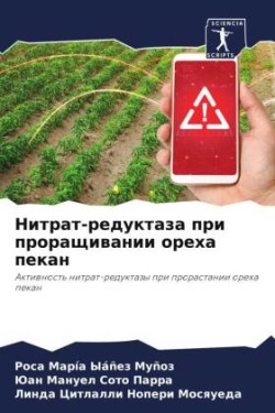 Нитрат-редуктаза при проращивании ореха &#1087