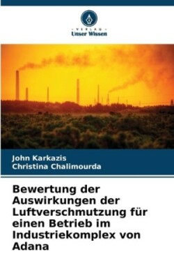 Bewertung der Auswirkungen der Luftverschmutzung für einen Betrieb im Industriekomplex von Adana