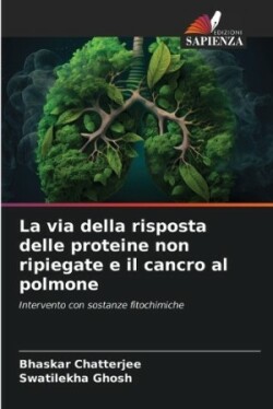 via della risposta delle proteine non ripiegate e il cancro al polmone