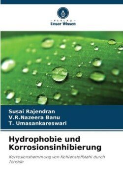 Hydrophobie und Korrosionsinhibierung