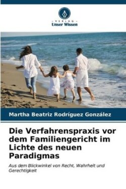 Verfahrenspraxis vor dem Familiengericht im Lichte des neuen Paradigmas