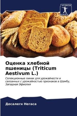 Оценка хлебной пшеницы (Triticum Aestivum L.)