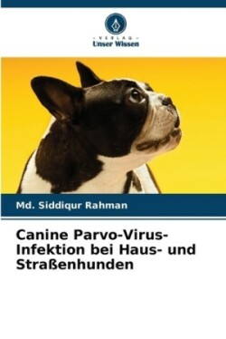 Canine Parvo-Virus-Infektion bei Haus- und Straßenhunden