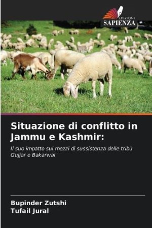 Situazione di conflitto in Jammu e Kashmir
