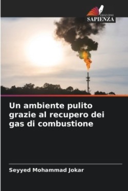 ambiente pulito grazie al recupero dei gas di combustione