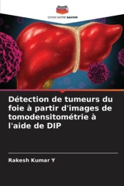 Détection de tumeurs du foie à partir d'images de tomodensitométrie à l'aide de DIP