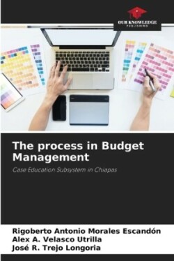 process in Budget Management