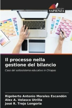 processo nella gestione del bilancio