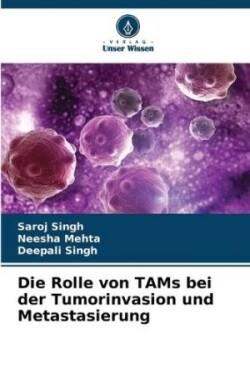 Rolle von TAMs bei der Tumorinvasion und Metastasierung