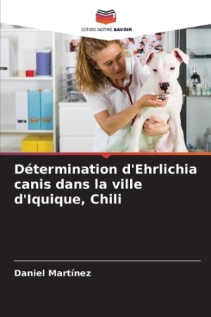 Détermination d'Ehrlichia canis dans la ville d'Iquique, Chili