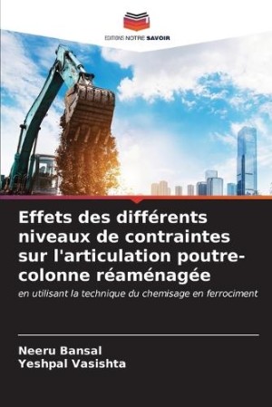 Effets des différents niveaux de contraintes sur l'articulation poutre-colonne réaménagée