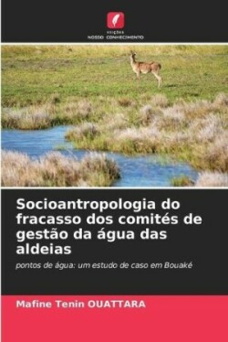 Socioantropologia do fracasso dos comités de gestão da água das aldeias