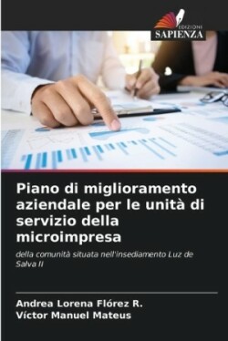 Piano di miglioramento aziendale per le unità di servizio della microimpresa