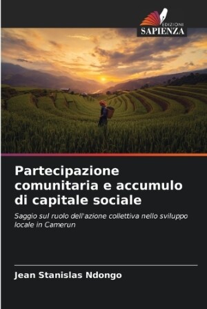 Partecipazione comunitaria e accumulo di capitale sociale