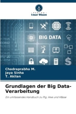 Grundlagen der Big Data-Verarbeitung