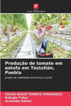 Produção de tomate em estufa em Teziutlán, Puebla