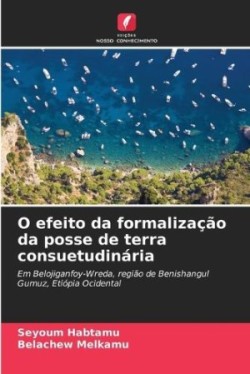 O efeito da formalização da posse de terra consuetudinária