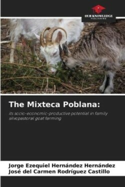 Mixteca Poblana