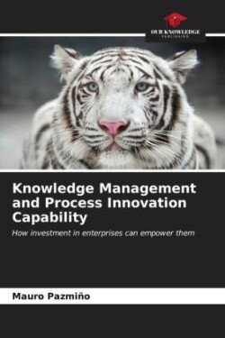 Knowledge Management and Process Innovation Capability