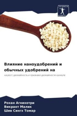 Vliqnie nanoudobrenij i obychnyh udobrenij na