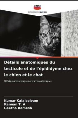 Détails anatomiques du testicule et de l'épididyme chez le chien et le chat