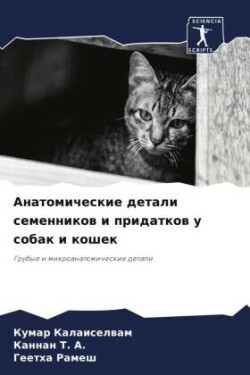 Anatomicheskie detali semennikow i pridatkow u sobak i koshek