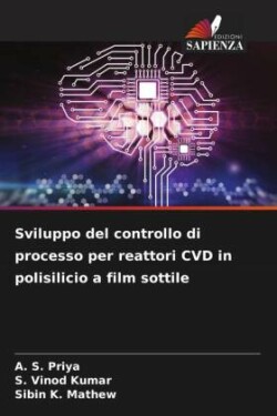 Sviluppo del controllo di processo per reattori CVD in polisilicio a film sottile