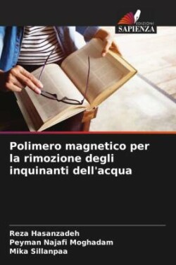 Polimero magnetico per la rimozione degli inquinanti dell'acqua