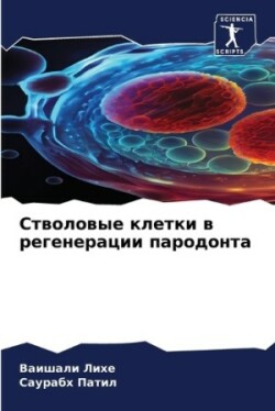 Стволовые клетки в регенерации пародонта