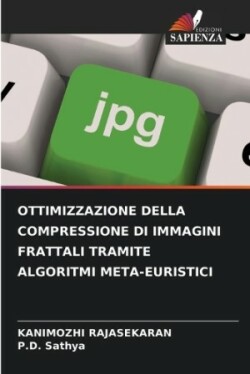 Ottimizzazione Della Compressione Di Immagini Frattali Tramite Algoritmi Meta-Euristici