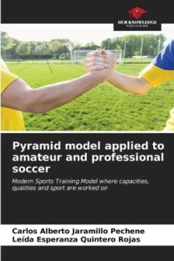 Pyramid model applied to amateur and professional soccer