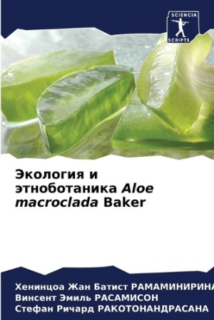 Экология и этноботаника Aloe macroclada Baker