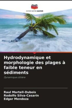 Hydrodynamique et morphologie des plages � faible teneur en s�diments