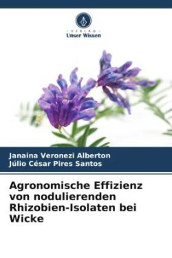 Agronomische Effizienz von nodulierenden Rhizobien-Isolaten bei Wicke