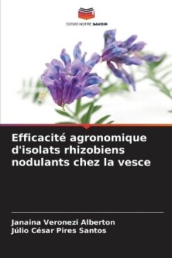 Efficacité agronomique d'isolats rhizobiens nodulants chez la vesce