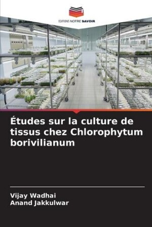 �tudes sur la culture de tissus chez Chlorophytum borivilianum