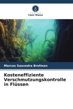 Kosteneffiziente Verschmutzungskontrolle in Flüssen