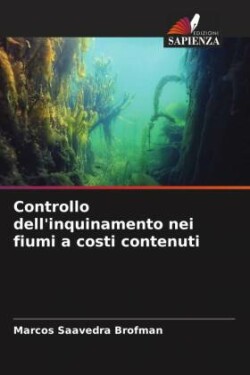 Controllo dell'inquinamento nei fiumi a costi contenuti