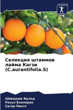 Селекция штаммов лайма Кагзи (C.aurantifolia.S)