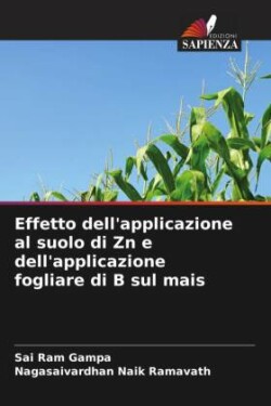 Effetto dell'applicazione al suolo di Zn e dell'applicazione fogliare di B sul mais